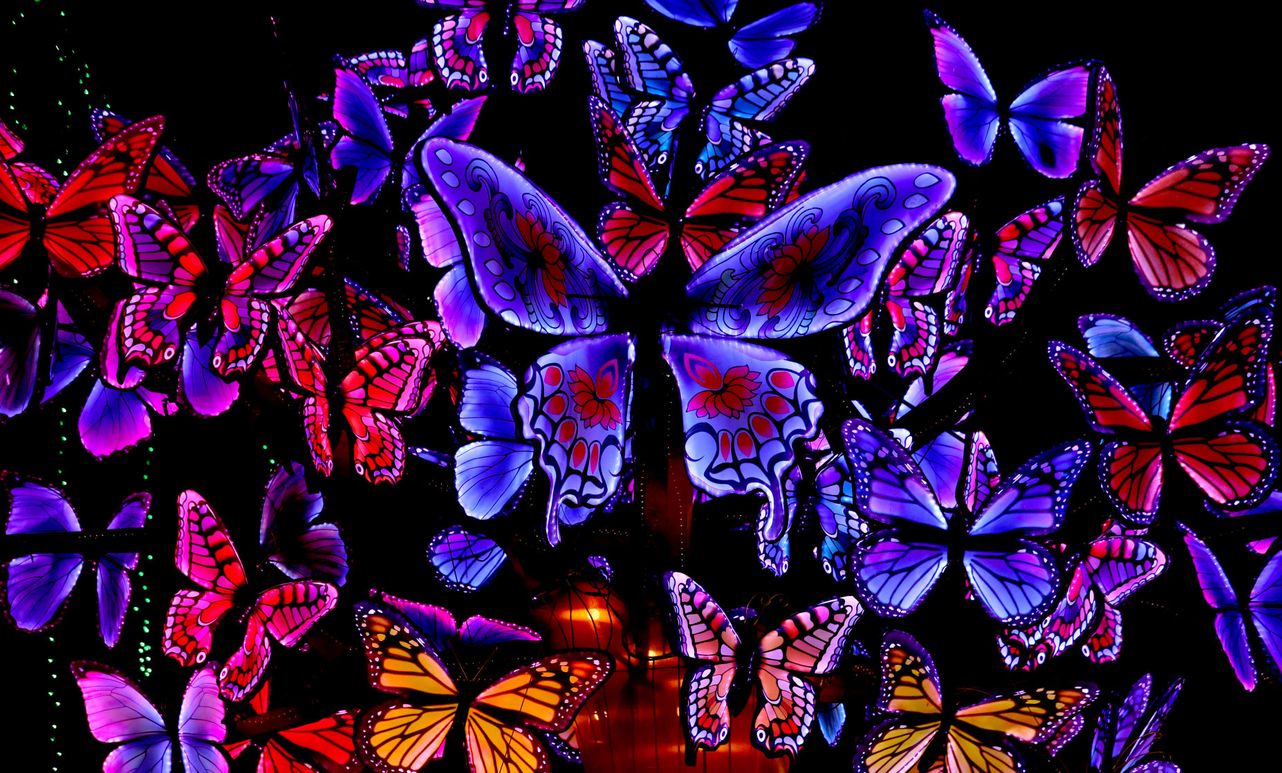 Asian Lantern Festival